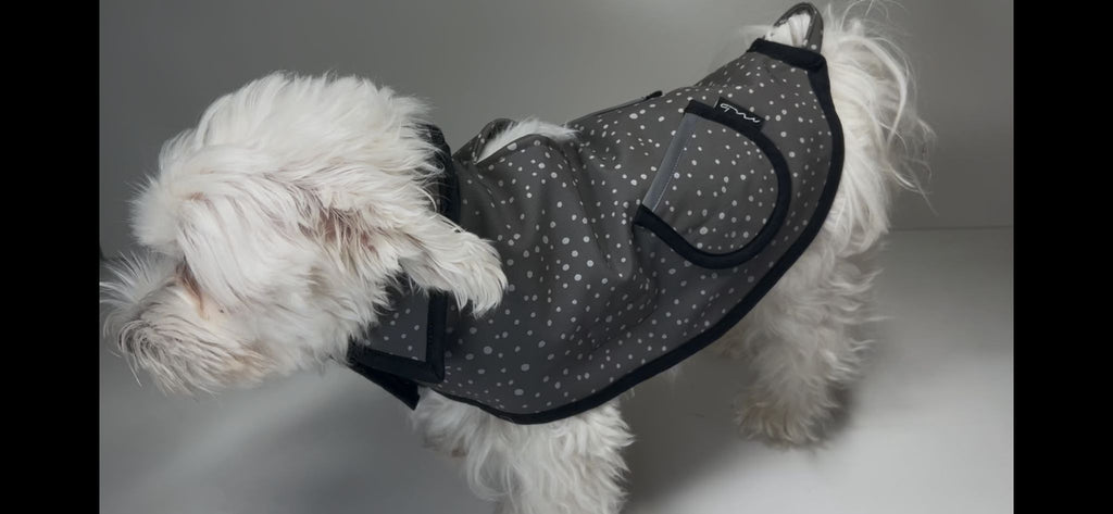 Massgefertigter Regenmantel für Hunde